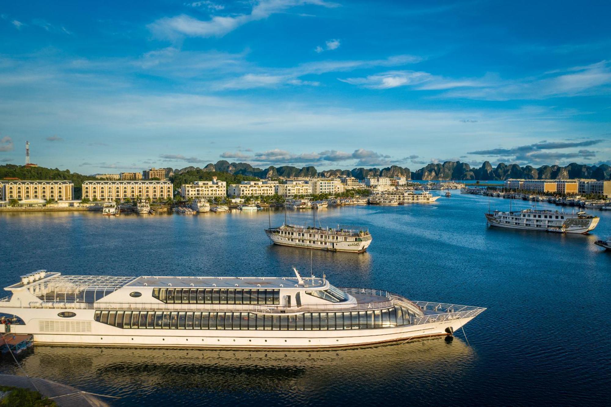 Classic Suite & Paradise Delight Cruise